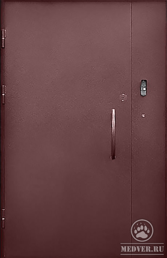 Железная тамбурная дверь. Дверь входная металлическая тамбурная. Тамбурная металлическая двухстворчатая дверь (металл / металл). Дверь металлическая RAL 9011. Дверь входная RAL 8001.