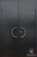 Двухстворчатая дверь в квартиру-110